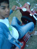 Anak vespa pwa